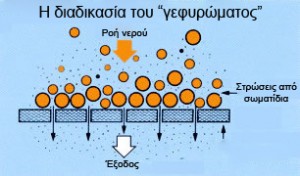 φίλτρα νερού doulton - Το "γεφύρωμα"
